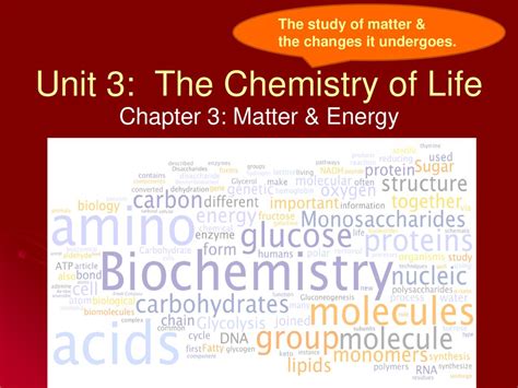 Unit 3 The Chemistry Of Life Ppt Download