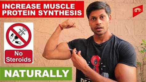 Build More Muscles Without Steroids Top 5 Tips To Increase Muscle