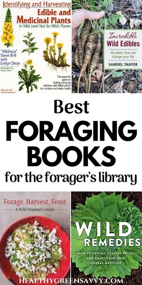 Best Foraging Books For The Foragers Bookshelf Healthygreensavvy In