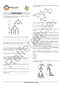 Gametogênese Exercícios - EXERCICIOS GAMETOGENESE, MITOSE E MEIOSE – BIOLOGIA II