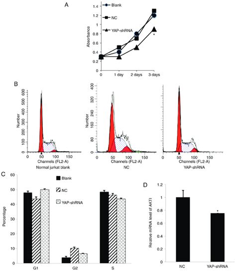 Yap Knockdown Inhibits Proliferation Of Jurkat Cells A Cells