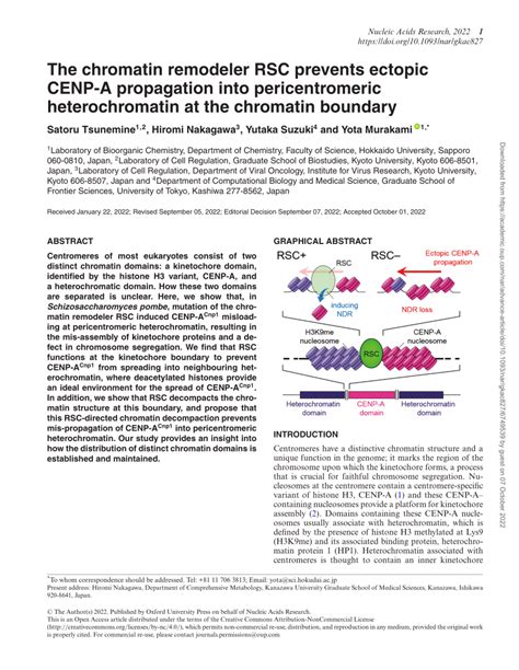 Pdf The Chromatin Remodeler Rsc Prevents Ectopic Cenp A Propagation