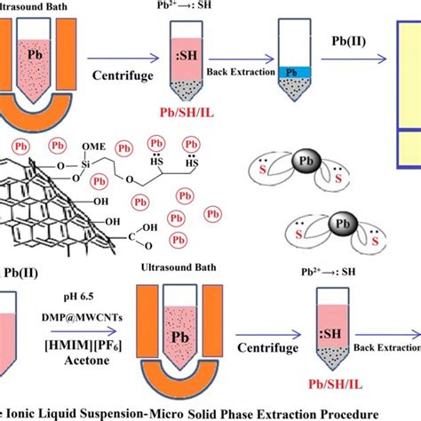 Schematic Of Dispersive Ionic Liquid Suspension Micro Solid Phase