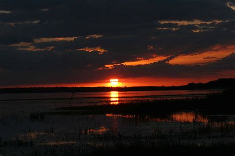 Everglades Airboat Night Tour - TripShock!