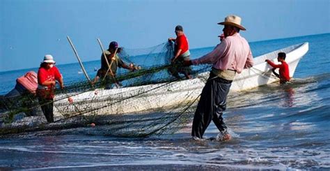 Europa Puede Y Debe Preservar La Pesca Artesanal Frente A La