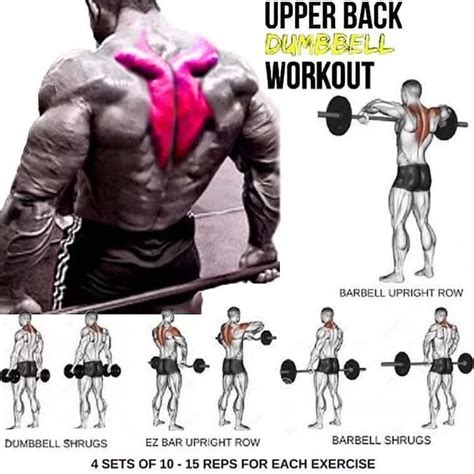 Upper Back Exercises With Dumbbells