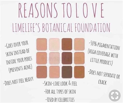 Find Your Limelife By Alcone Foundation And Concealer Colors