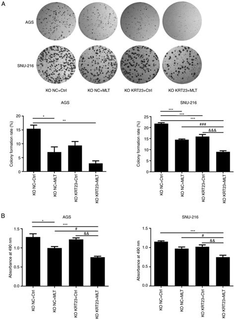 Loss Of Keratin Enhances Growth Inhibitory Effect Of Melatonin In