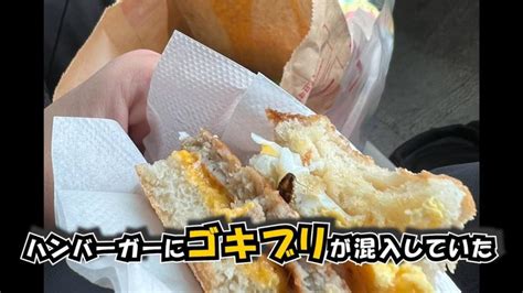 🚨マックのバーガーに「ゴキブリの死骸」 写真拡散で本社が調査店舗で混入した可能性認める スレッド閲覧｜爆サイcom北海道版