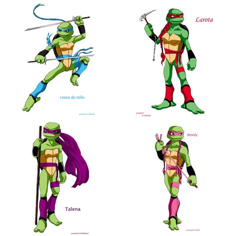 Tmnt Girls Tmnt Girls Female Ninja Turtle Teenage Mutant Ninja