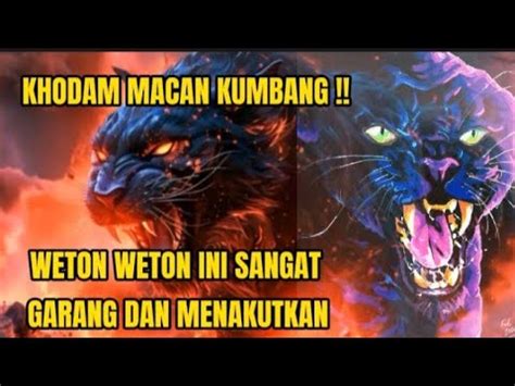 Garang Dan Menakutkan Weton Ini Dikawal Khodam Macan Kumbang