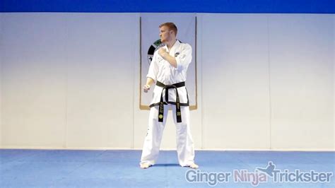 Taekwondo Side Kick Tutorial Gnt How To