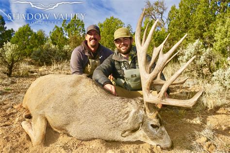 Trophy Mule Deer Hunts Guided Arizona Strip Mule Deer Hunts