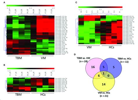 Genome Wide Mirna Profile Of Pbmcs From Tbm Vm And Hcs