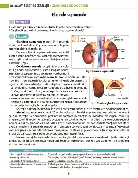 Biologie Pentru Clasa A Vii A A Pdf Pag