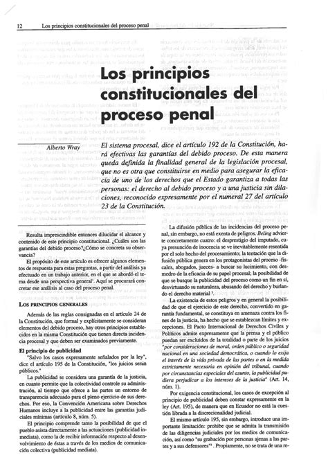 Pdf Los Principios Constitucionales Del Proceso Penal