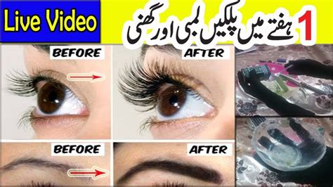 How To Grow Long Thick And Strong Eyebrows And Eyelashes In Just 5 Days