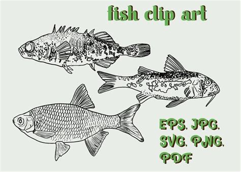 Fish Clipart SVG. Fish PNG Fish Art Fishing SVG Fishing - Etsy