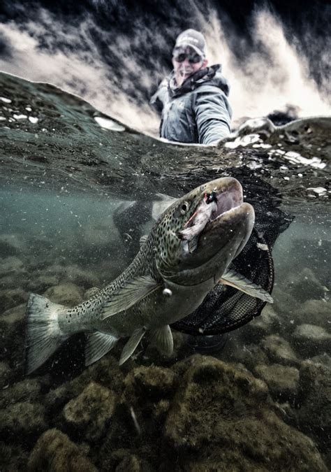 Trout Fishing In Iceland