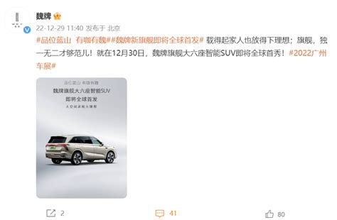 魏牌首款旗舰大六座 Suv 官图曝光，或定名“蓝山” 科技先生