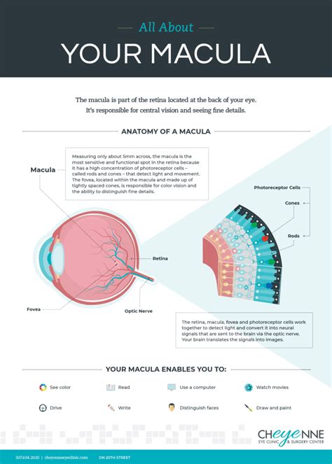 Read the blog to learn All About Your Macula