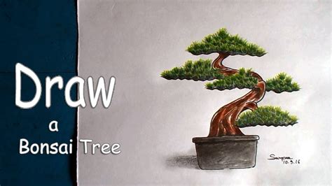 Bonsai Tree Drawing Step By Step Bonsai Tree Draw Drawing Step