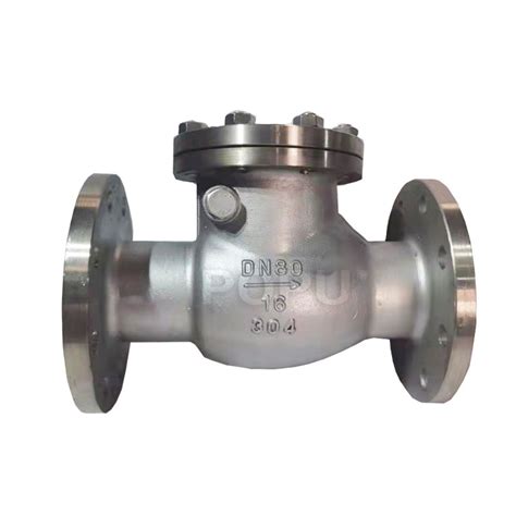 Stainless Steel Swing Check Valve Zhejiang Popu Valve Manufacturing Co