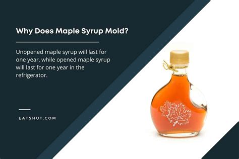 Why Does Maple Syrup Mold?