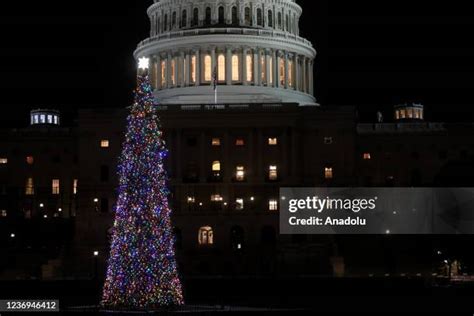 Us Capitol Christmas Tree Photos And Premium High Res Pictures Getty