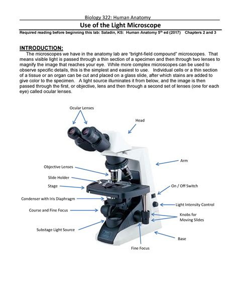 3 Use Of The Microscope Warning Tt Undefined Function 32 Biology