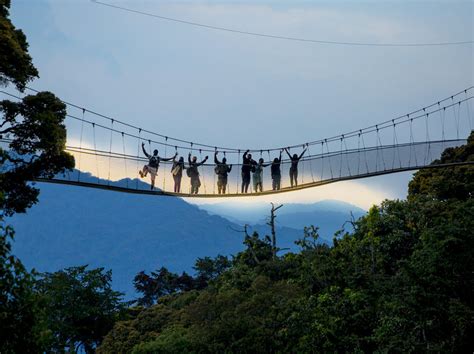 Nyungwe National Park Chimpanzee Canopy Walk Experience