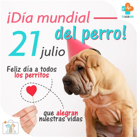 Dia Nacional Del Perro My Buzz Views