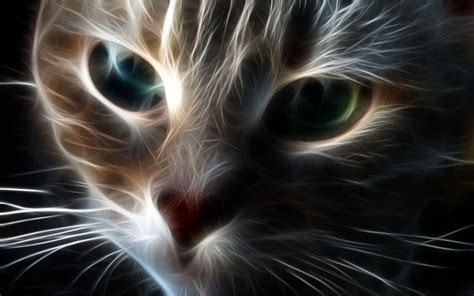 Scary Cat Wallpapers - Top Free Scary Cat Backgrounds - WallpaperAccess