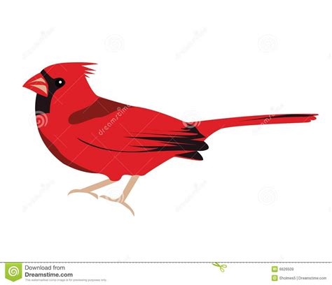 Cardinal Cartoon Clipart | Free download on ClipArtMag