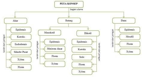 Buat Peta Konsep Klasifikasi Tumbuhan