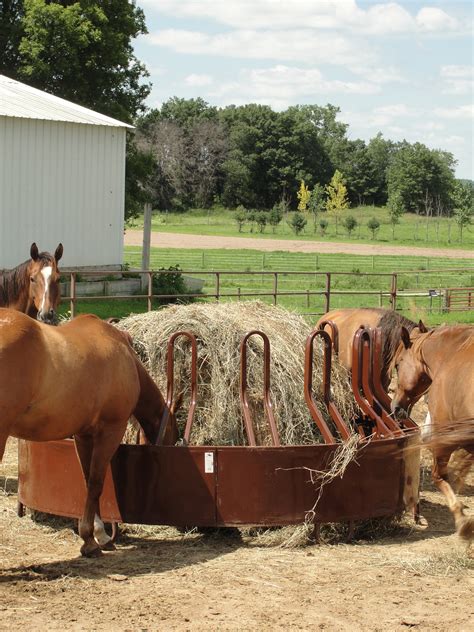 Diller Haysaver Horse Feeders 53 Off