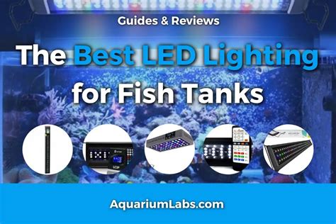 Best Aquarium LED Lighting [2022]: An Expert's Buying Guide