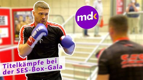 Titelk Mpfe Bei Der Ses Box Gala In Magdeburg News Boxen Youtube