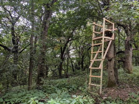 How To Build A Ladder Stand For Deer Hunting Storables