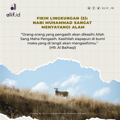 Fikih Lingkungan 5 Nabi Muhammad Sangat Menyayangi Alam Alifid