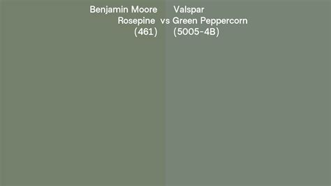 Benjamin Moore Rosepine Vs Valspar Green Peppercorn B