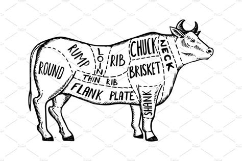 Meat Diagram Cow Engraving Vector Side Of Beef Beef Cow