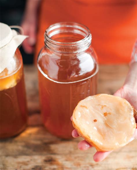 How To Troubleshoot Kombucha - Food Republic