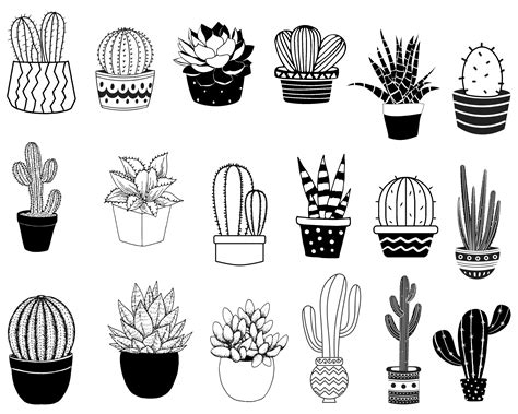 Cactus Pots Svg Bundle Succulents Svg Cactus Svg Potted Plants Svg