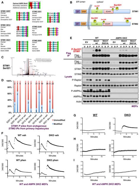 Ampk Regulates Calcium Homeostasis Through Phosphorylation Of Stim And