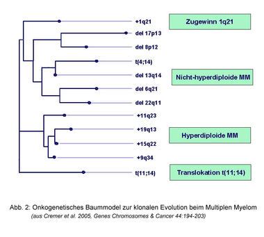 Universitätsklinikum Heidelberg Multiples Myelom