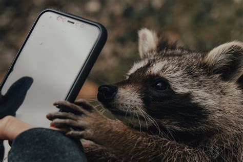 Wie Kriege Ich Schnell Und Einfach Bilder Vom Handy Auf Den Laptop