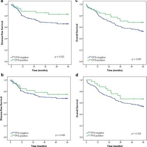 Kaplan Meier Survival Analysis Disease Free Survival Dfs And Overall Download Scientific