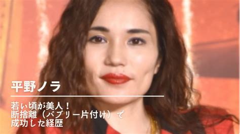 平野ノラの若い頃が美人！断捨離（バブリー片付け）で成功した経歴まとめ！ Nn Media