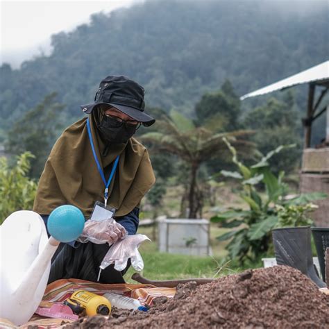 pertanian organik  indonesia lsp pertanian organik